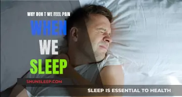 Sleep Science: Painless Slumber Explained