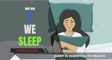 The Mystery of Sleep: Why We Don't Rest