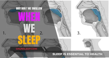 Swallowing Mystery: Why We Don't When Asleep