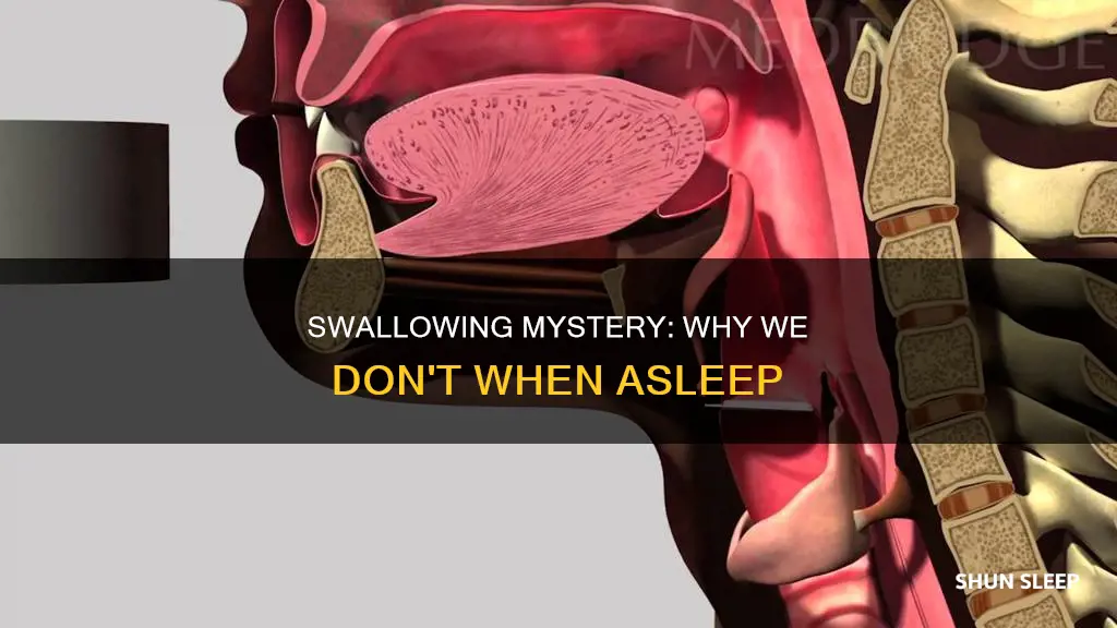 why don t we swallow when we sleep