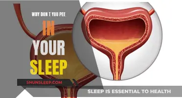 How Your Body Prevents You From Peeing While Asleep