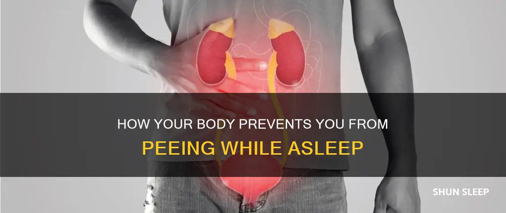 why don t you pee in your sleep