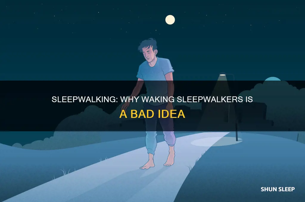 why don t you wake up sleep walkers