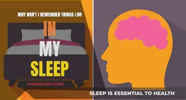 Unraveling the Mystery of Sleep: Forgetting Nocturnal Activities