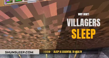 The Villagers' Mystery: Sleepless in the Village