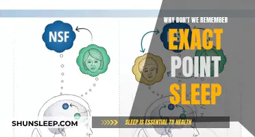 The Mystery of Sleep: Forgetting the Moment of Nodding Off