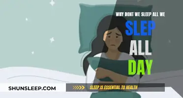 Sleep All Day: A Biological Conundrum Explained