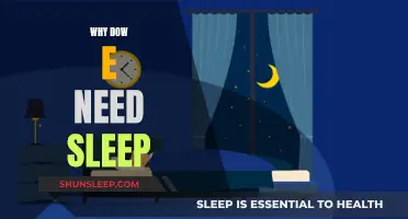 Sleep: The Ultimate Brain and Body Recharge