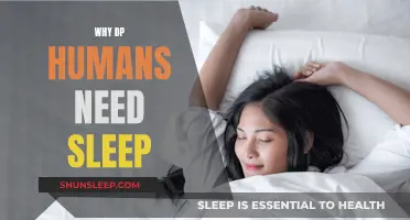 The Mystery of Sleep: Why Humans Need It