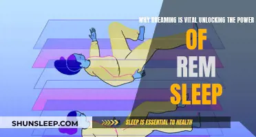 Unlocking Dreams: Powering Up with REM Sleep