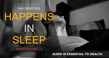 Erections in Sleep: Why It Happens