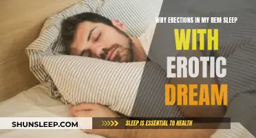 Erections in Sleep: Why Do They Happen?