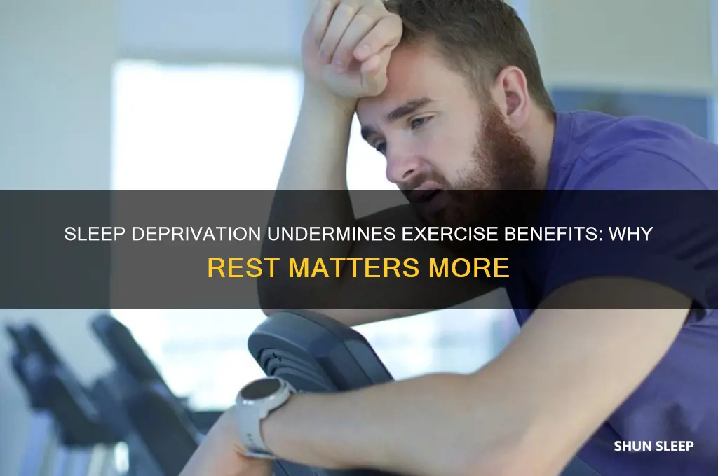 why exercise doesn
