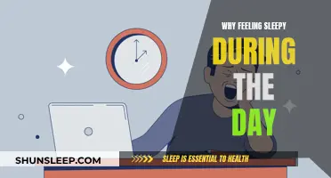 Daytime Sleepiness: Why Do I Feel So Sleepy?