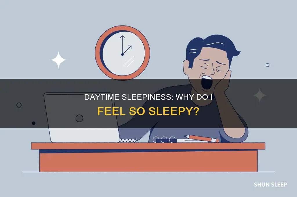 why feeling sleepy during the day