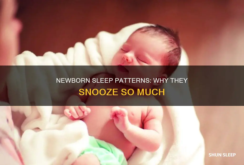 why fo newborns can sleep sometimes