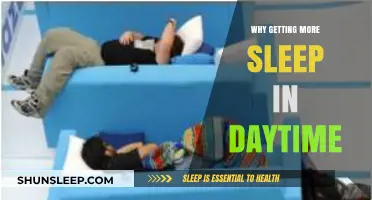 Boost Productivity and Health: The Power of Daytime Sleep