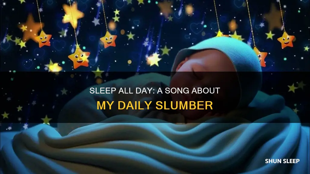 why i sleep all day song