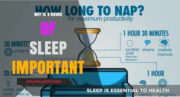 Unlocking Productivity: The Power of a Full Night's Rest