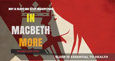 Blood and Sleep: The Dark Imagery of Macbeth