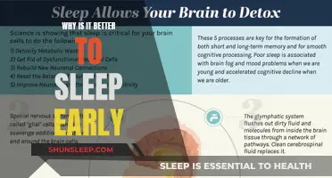 Early Sleep Benefits: Health, Energy, and Productivity