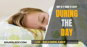 Daytime Sleep: Why is it so elusive?