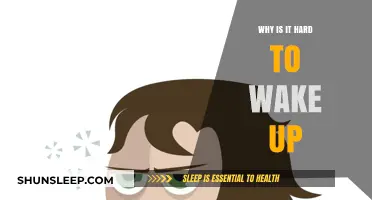 The Science Behind the Struggle: Why Waking Up is So Tough