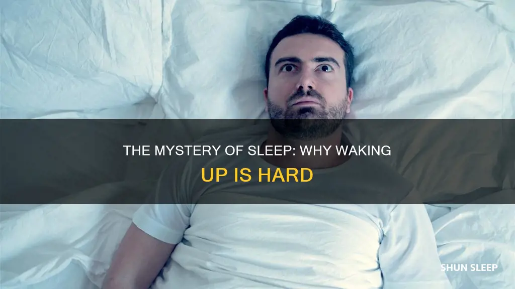 why is it hard to wake up