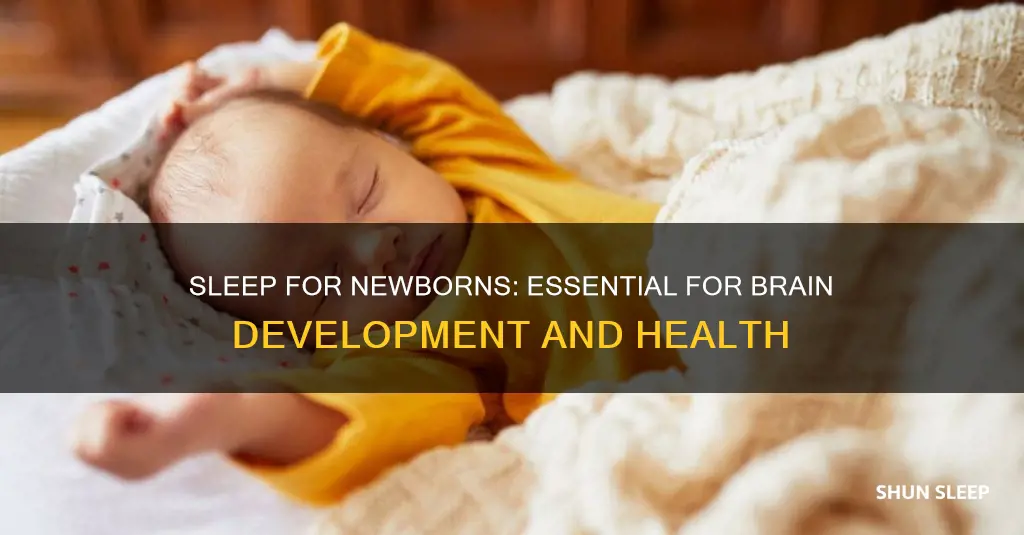 why is it important for newborns to sleep