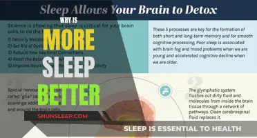 Sleep More, Live Better: The Benefits of Sleep