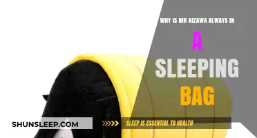 Aizawa's Sleeping Bag: Unveiling the Mystery