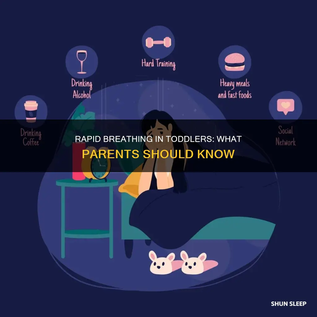 why is my 1 year old breathing fast while sleeping