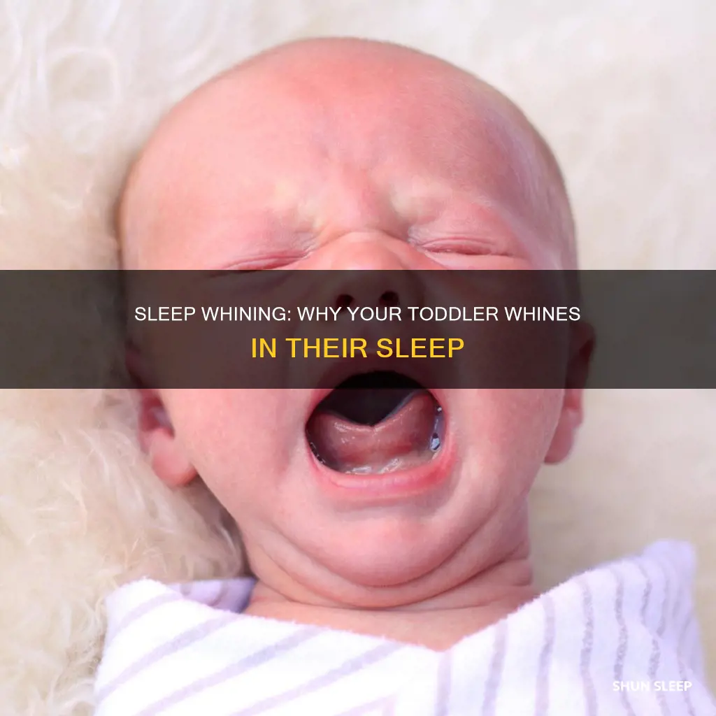 why is my 1 year old whining in her sleep