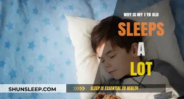 How Much Sleep Does Your Toddler Need?
