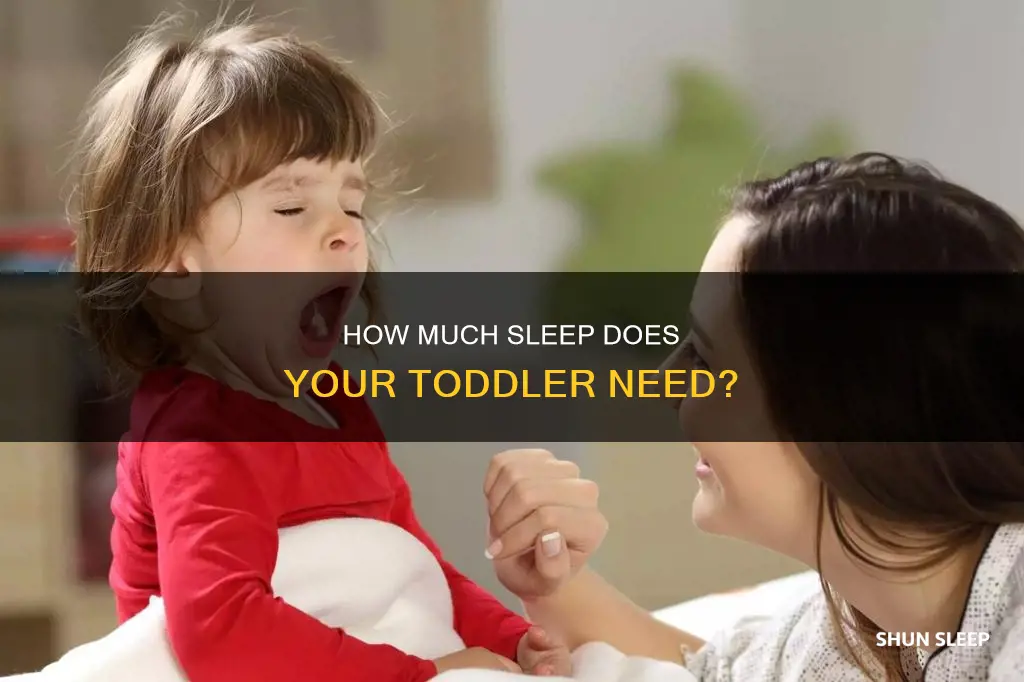 why is my 1 yr old sleeps a lot