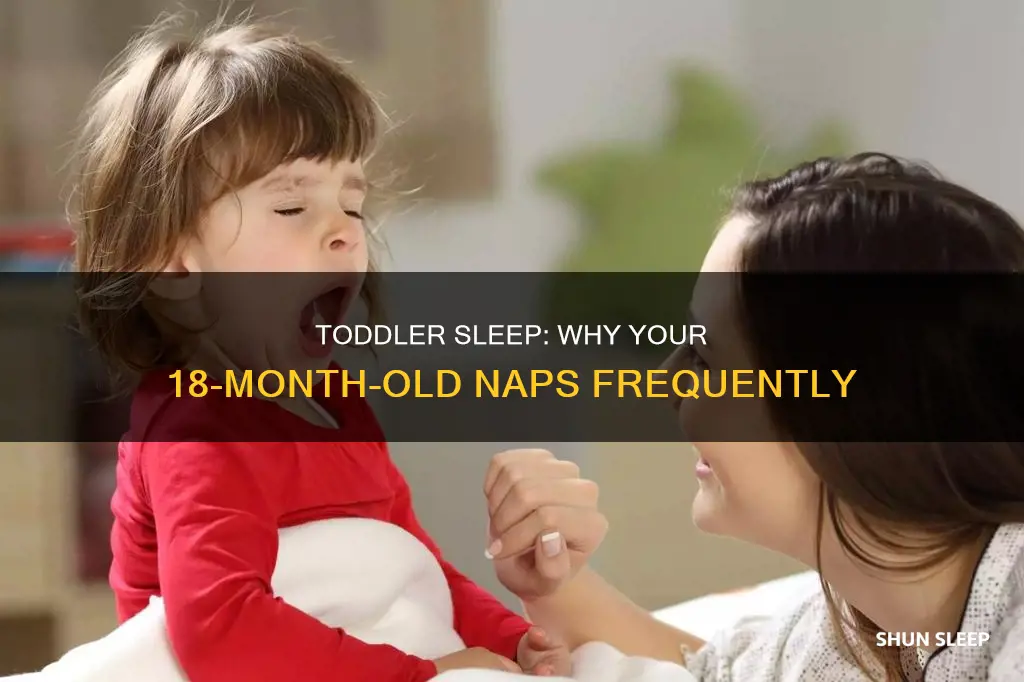 why is my 18 month old sleeping a lot