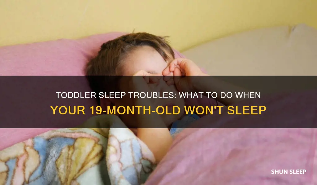why is my 19 month old not sleeping