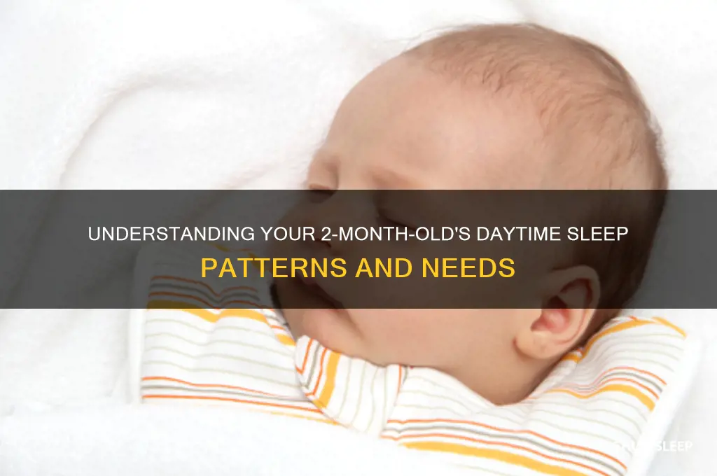 why is my 2 month old baby sleeping all day