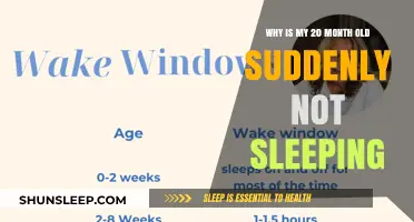 Toddler Sleep Troubles: Why Your 20-Month-Old Won't Sleep