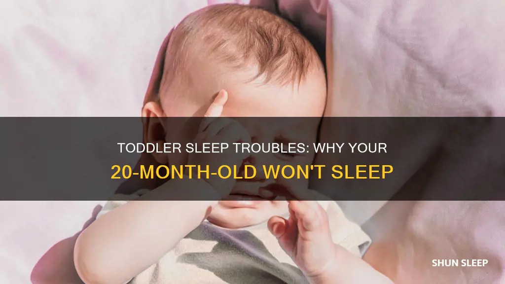 why is my 20 month old suddenly not sleeping