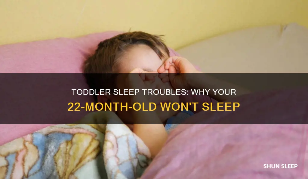 why is my 22 month old not sleeping