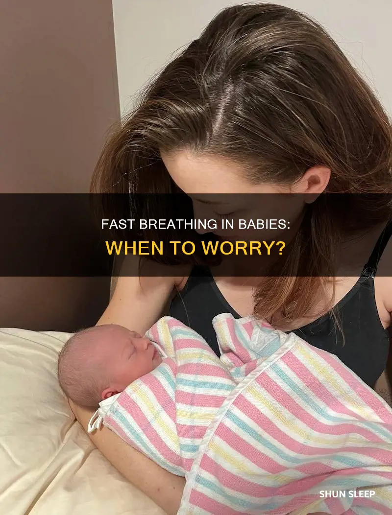 why is my 4 month old breathing fast while sleeping