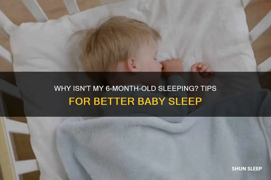 why is my 6 month baby not sleeping