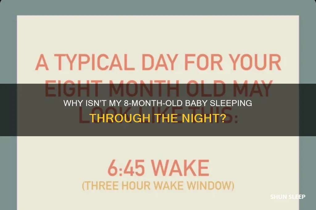why is my 8 month baby not sleeping