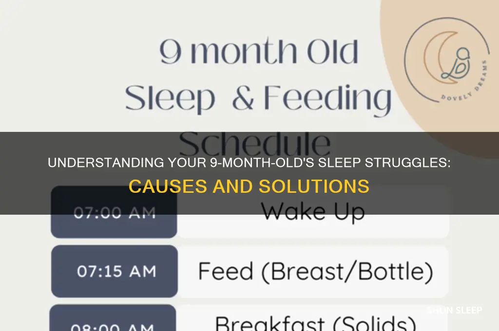 why is my 9 month old baby not sleeping