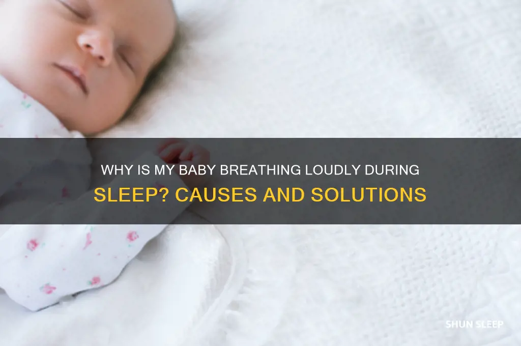 why is my baby breathing loud in his sleep
