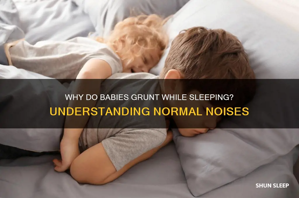 why is my baby grunting during sleep