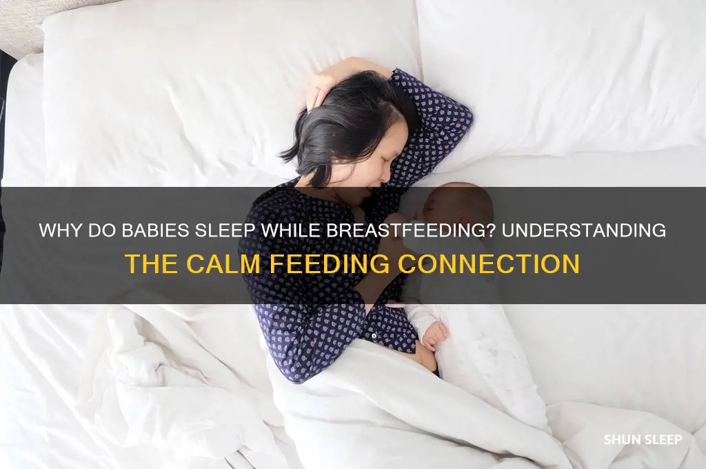 why is my baby sleeping while breastfeeding