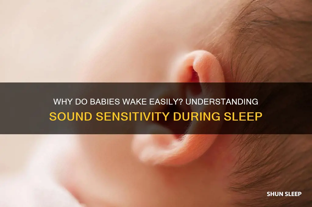 why is my baby so sensitive to sound when sleeping