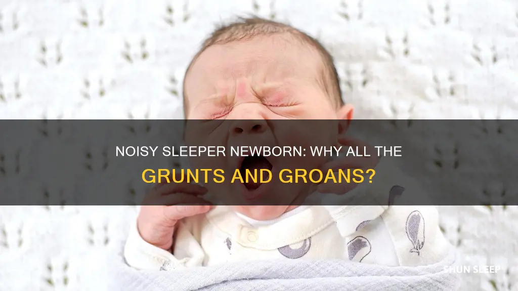 why is my newborn a noisy sleeper